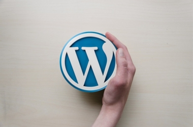 O que é WordPress: saiba como funciona e por onde começar
